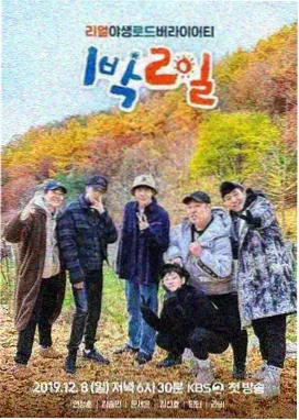 一起露营吧 户外真人秀在线观看