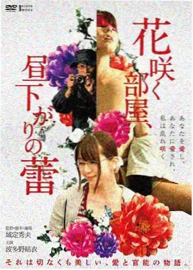 长剧与短剧注意力迁移分析